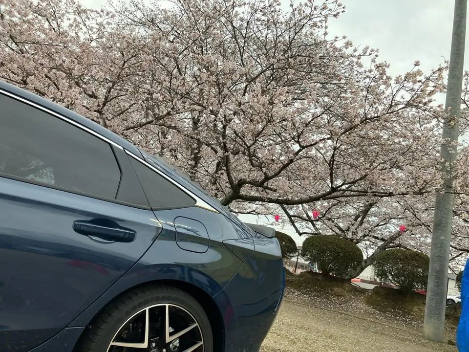 旭化様グラウンドにて開催中