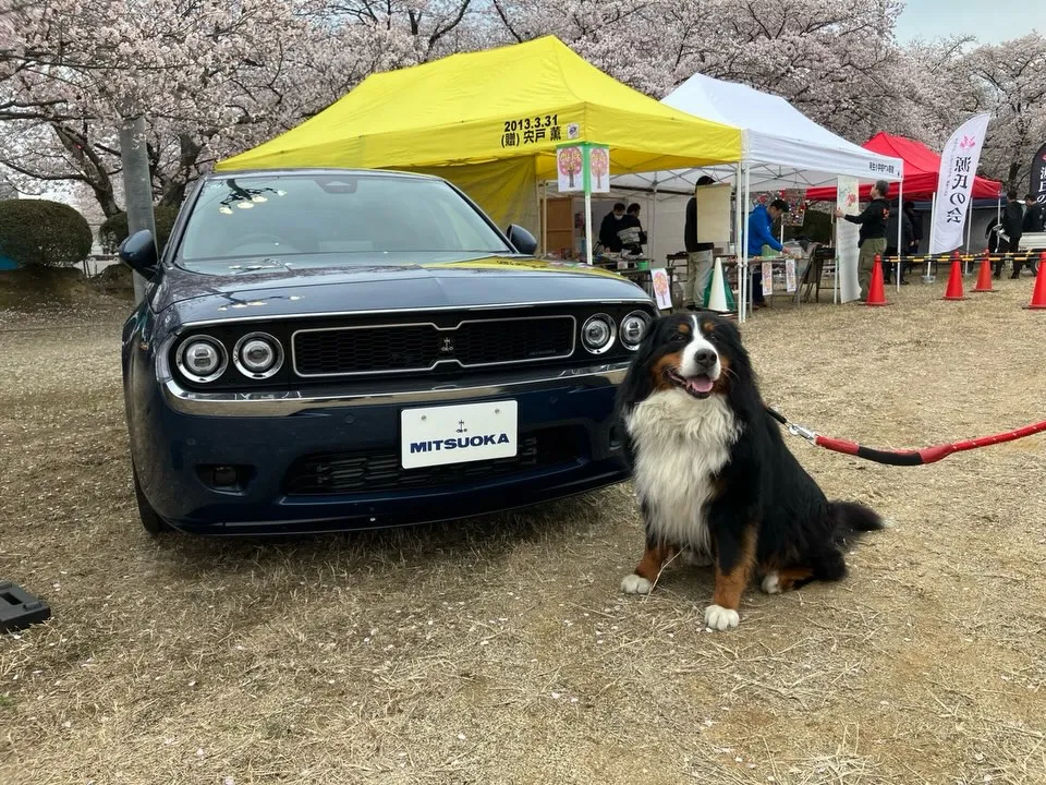 旭化様グラウンドにて開催中